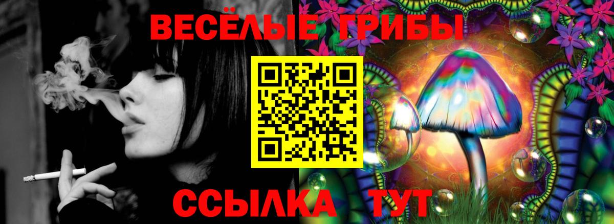 Галлюциногенные грибы мицелий  Вход с VPN  купить наркотики цена  Миллерово 